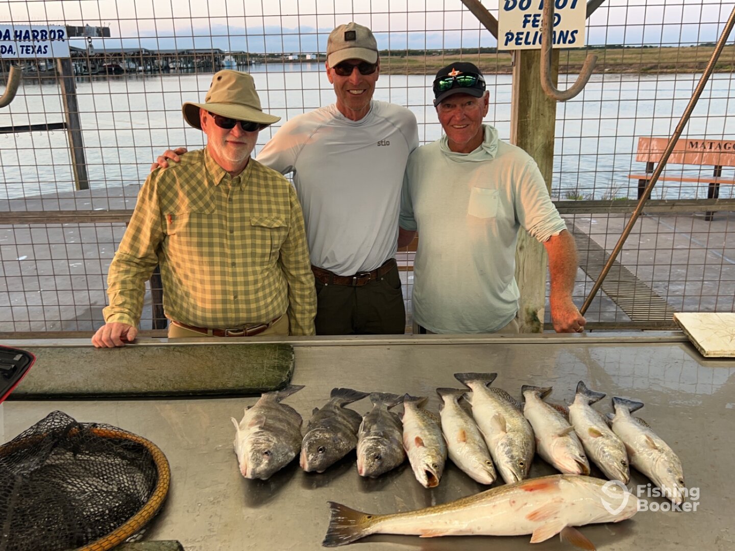Matagorda Report Photo 0