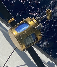 Sandys Report Photo 1