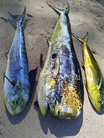 Trou Aux Biches Report Photo 2