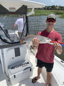 Mount Pleasant Report Photo 1