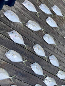 Nags Head Report Photo 1