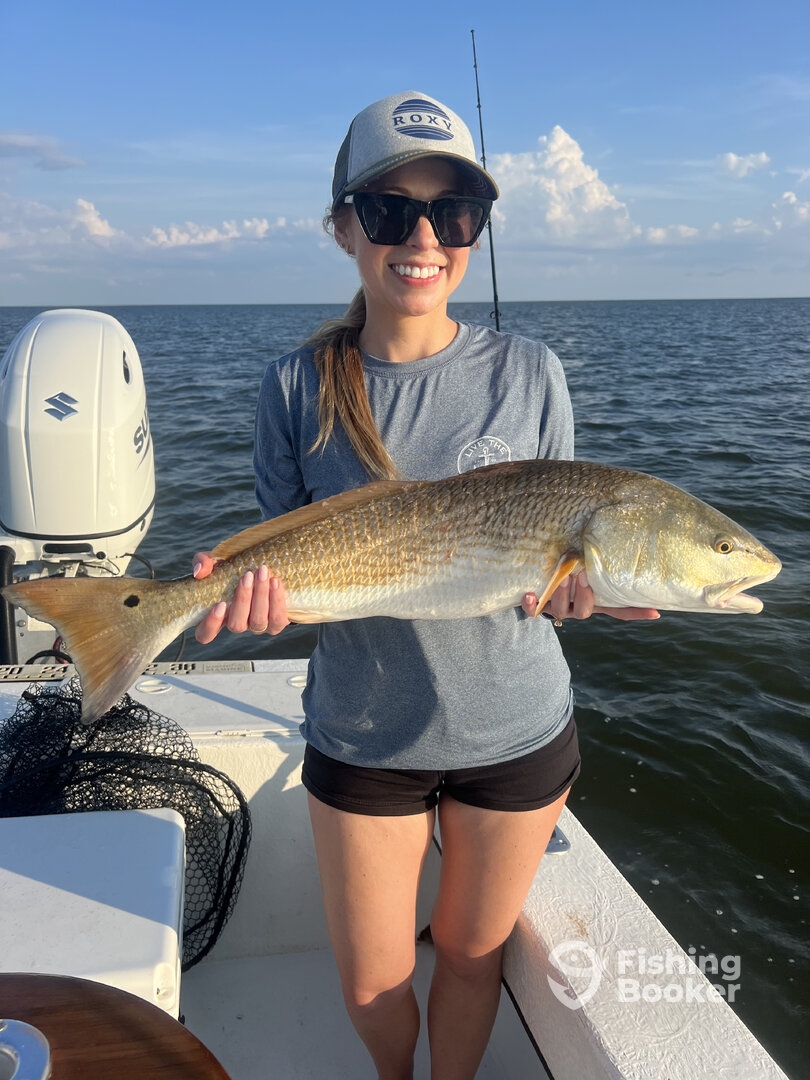 Manteo Report Photo 0