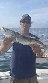 Gloucester Report Photo 1