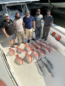 Excellent 10 hour Deep Sea Fishing Trip 