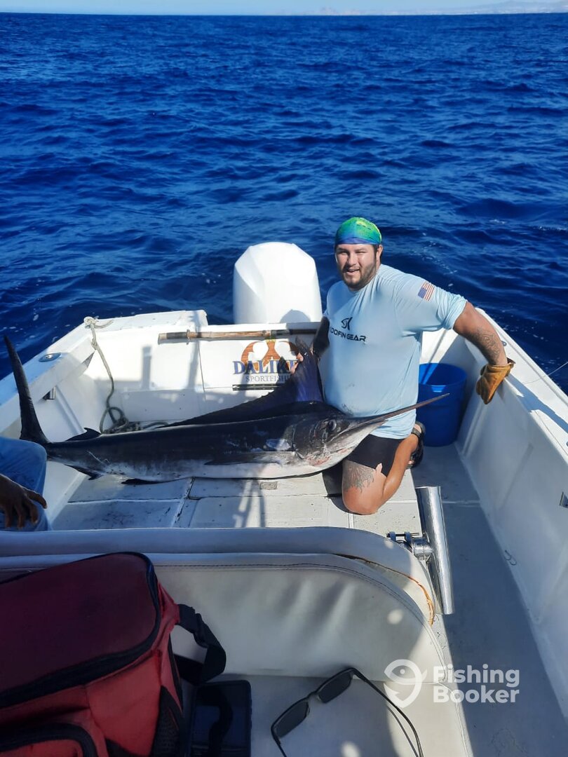 San Jose del Cabo Report Photo 0
