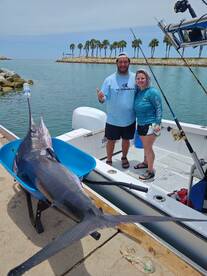 San Jose del Cabo Report Photo 2