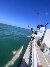 Galveston Report Photo 1