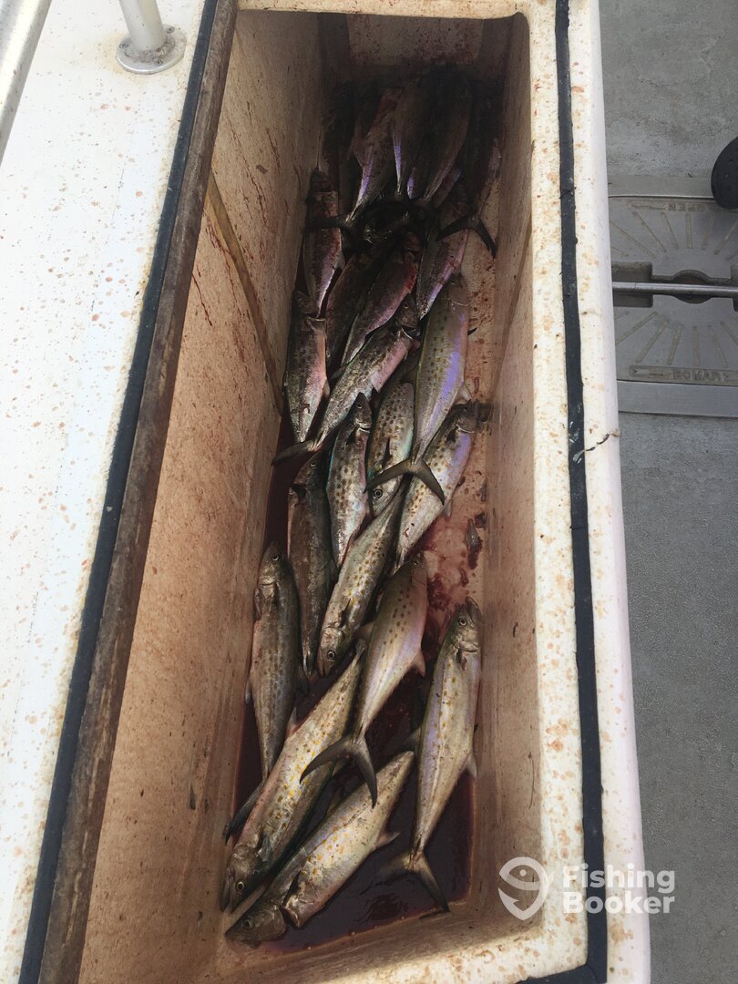 Wanchese Report Photo 0