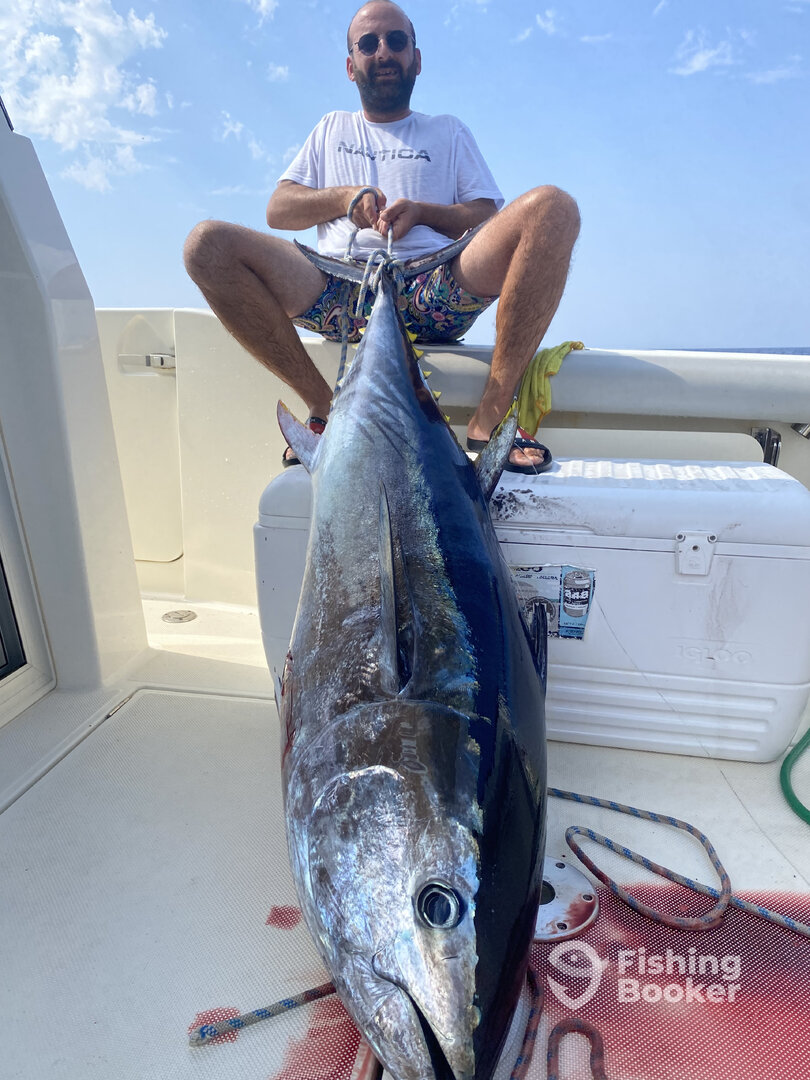 Aydın Report Photo 0