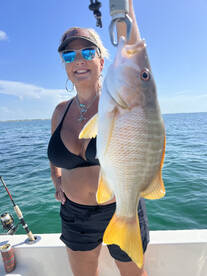 Islamorada Report Photo 2