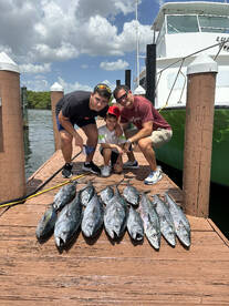 Dania Beach Report Photo 2
