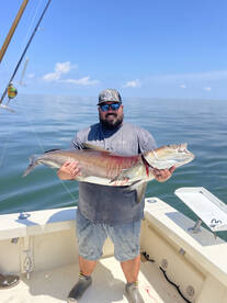 Cobia Action!
