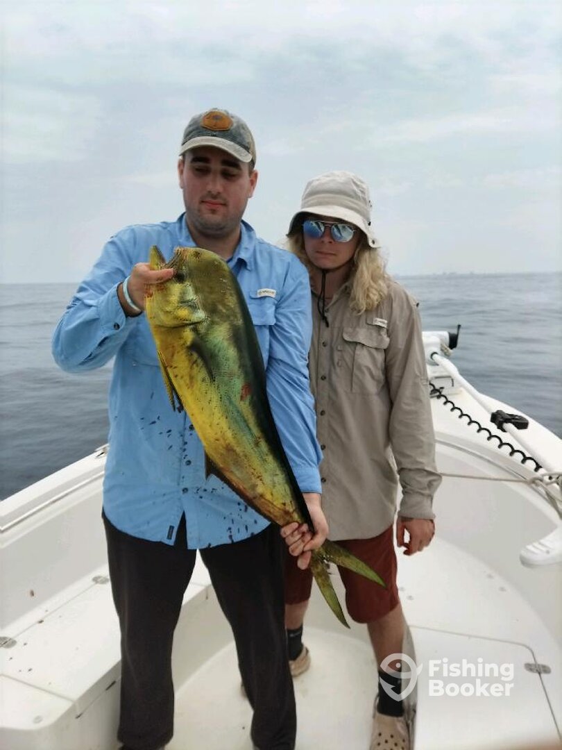 Panama City Report Photo 0