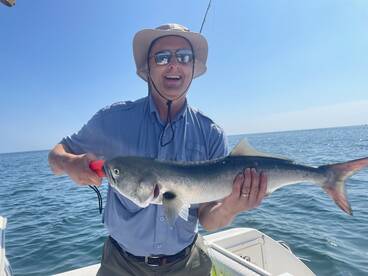 Bluefish bonanza