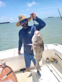 Galveston Report Photo 1