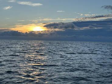 Murrells Inlet Report Photo 2