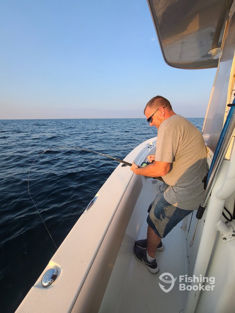 Gulf Shores Report Photo 0