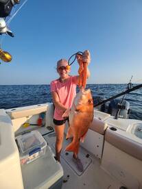 Gulf Shores Report Photo 1