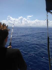 Le Morne Report Photo 1