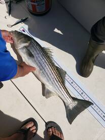Fishing has been great