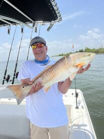 Red snapper, redfish, African Pompano tr