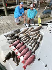 Bull red and red snapper action Venice L