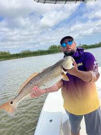 Locals on some hammer Red snappers 