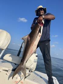 Venice Report Photo 2