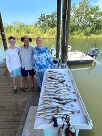 Specs, whites and sharks