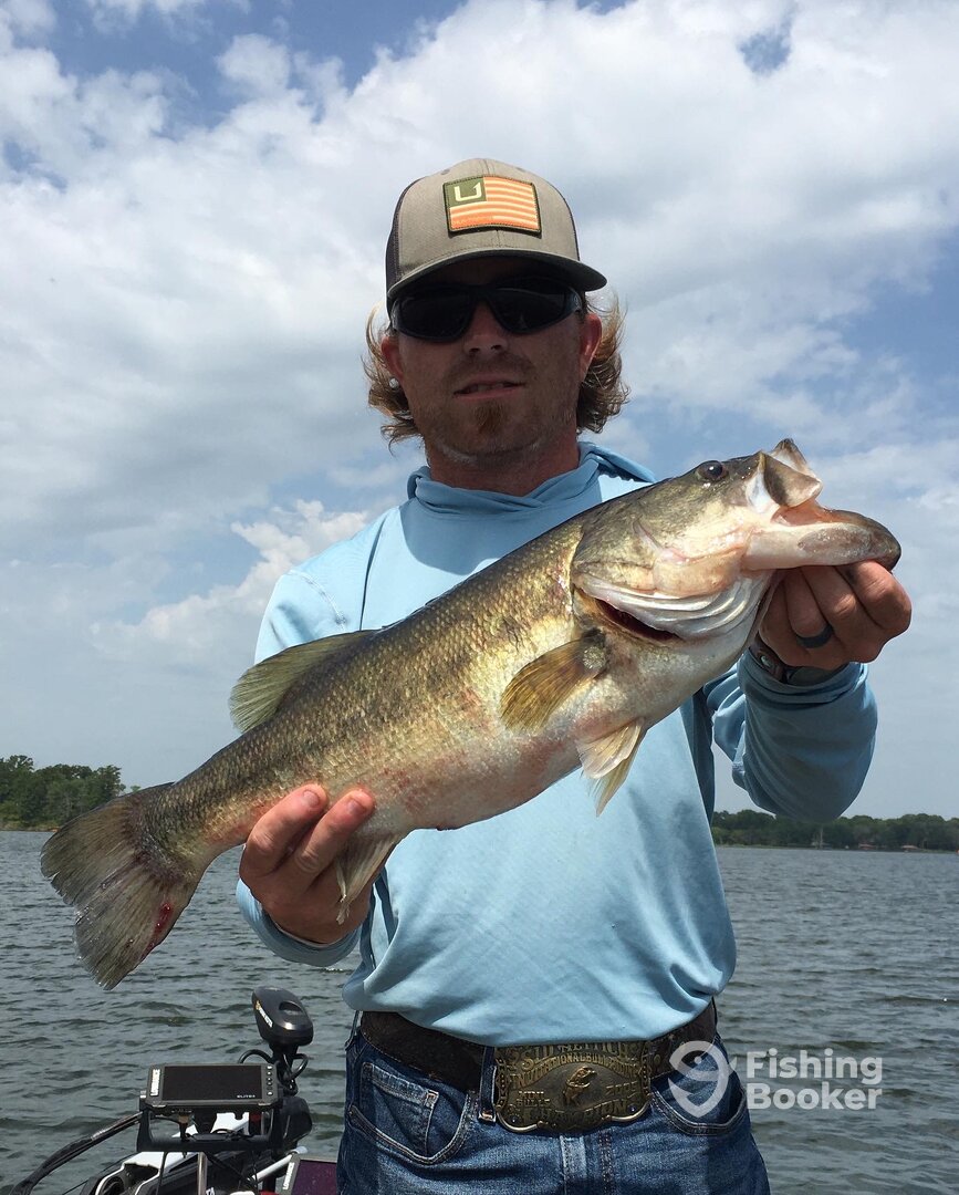 Quitman Report Photo 0