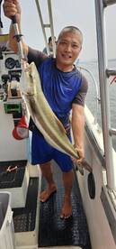 7.5kg cobia landed by me captain tiger!