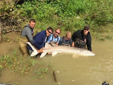 Chilliwack Report Photo 2