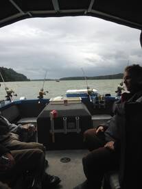 Chilliwack Report Photo 1