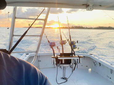 Sandys Report Photo 1