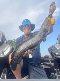Potomac Snakeheads and Bass Report 
