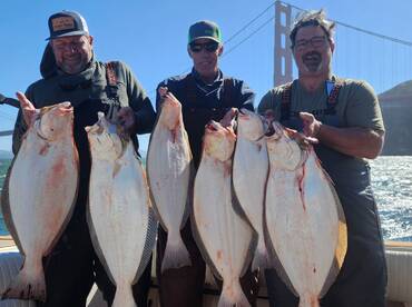 Halibut bite has been phenomenal this ye