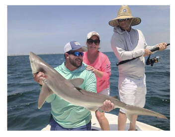 Palm Coast Report Photo 1