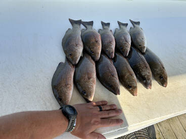 Orange Beach Report Photo 1
