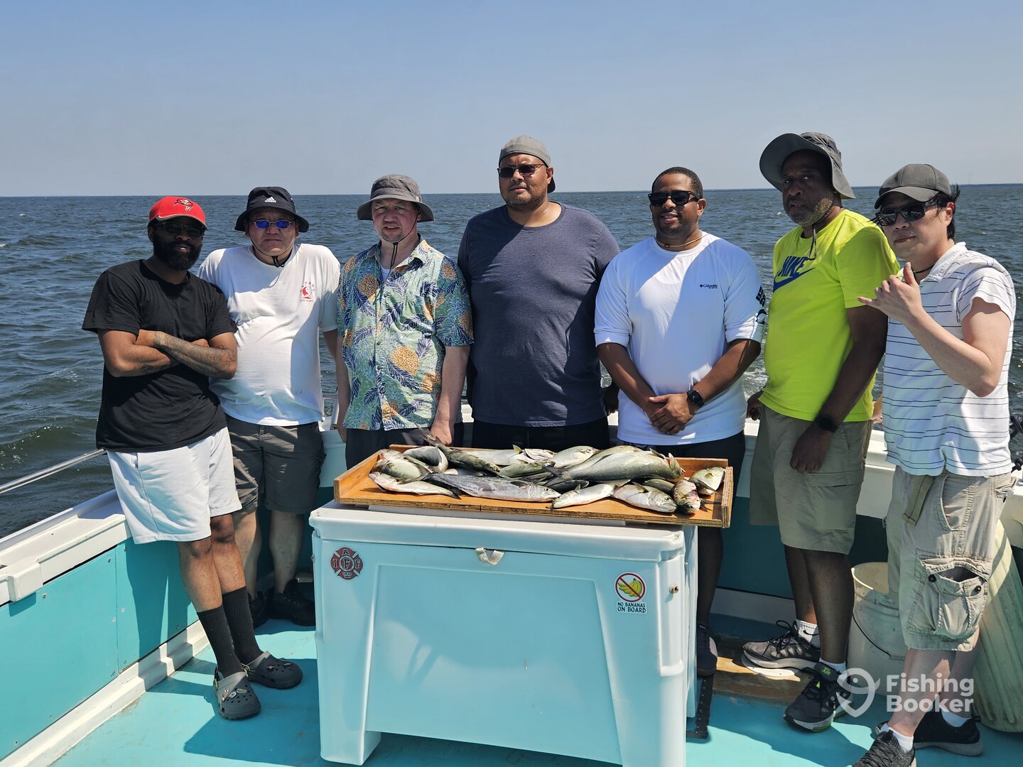 Solomons Report Photo 0