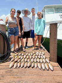 Dania Beach Report Photo 2