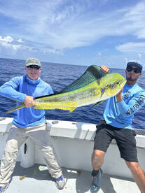 Dania Beach Report Photo 1
