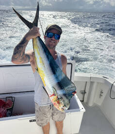Morning Mahimahi