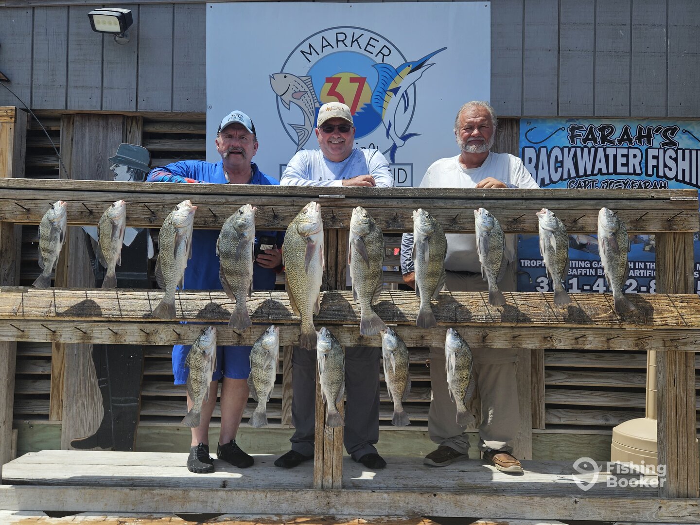 Corpus Christi Report Photo 0