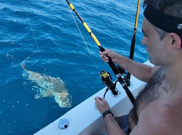 St. Simons Island Report Photo 2