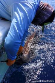 Quepos Report Photo 2