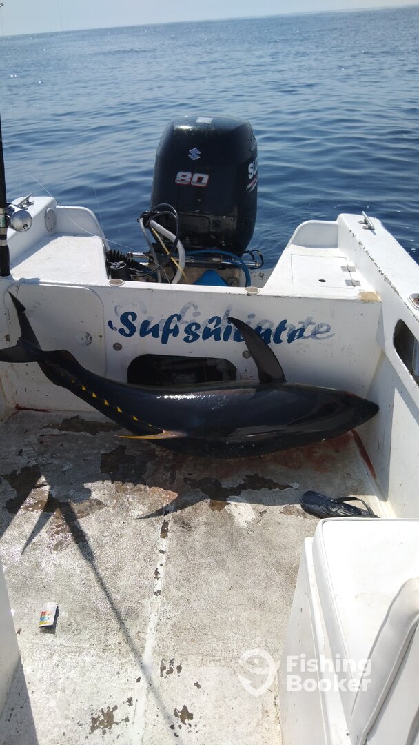 San Jose del Cabo Report Photo 0