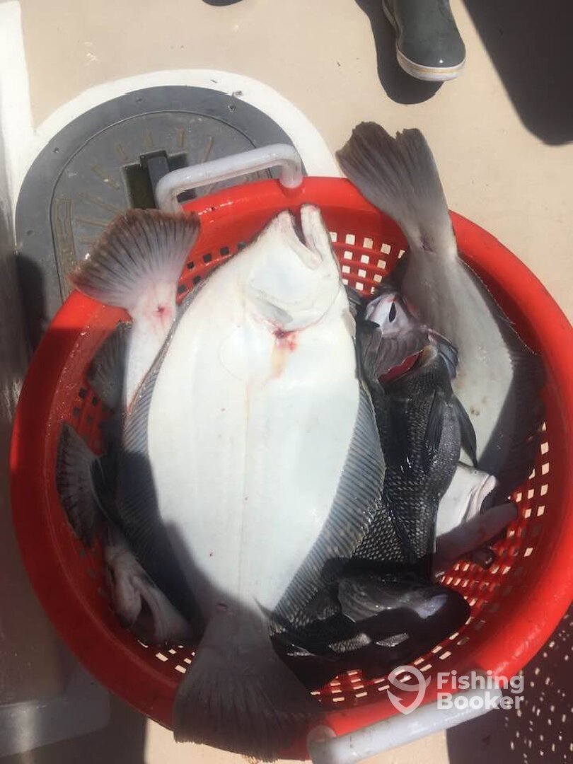 Montauk Report Photo 0