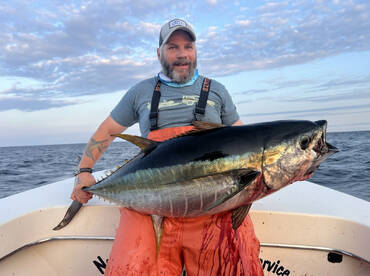 Inshore yellowfin on poppers and jigs