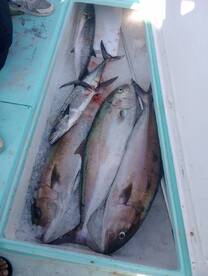 Destin Report Photo 2