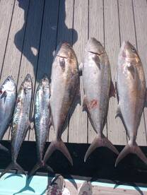 Destin Report Photo 1